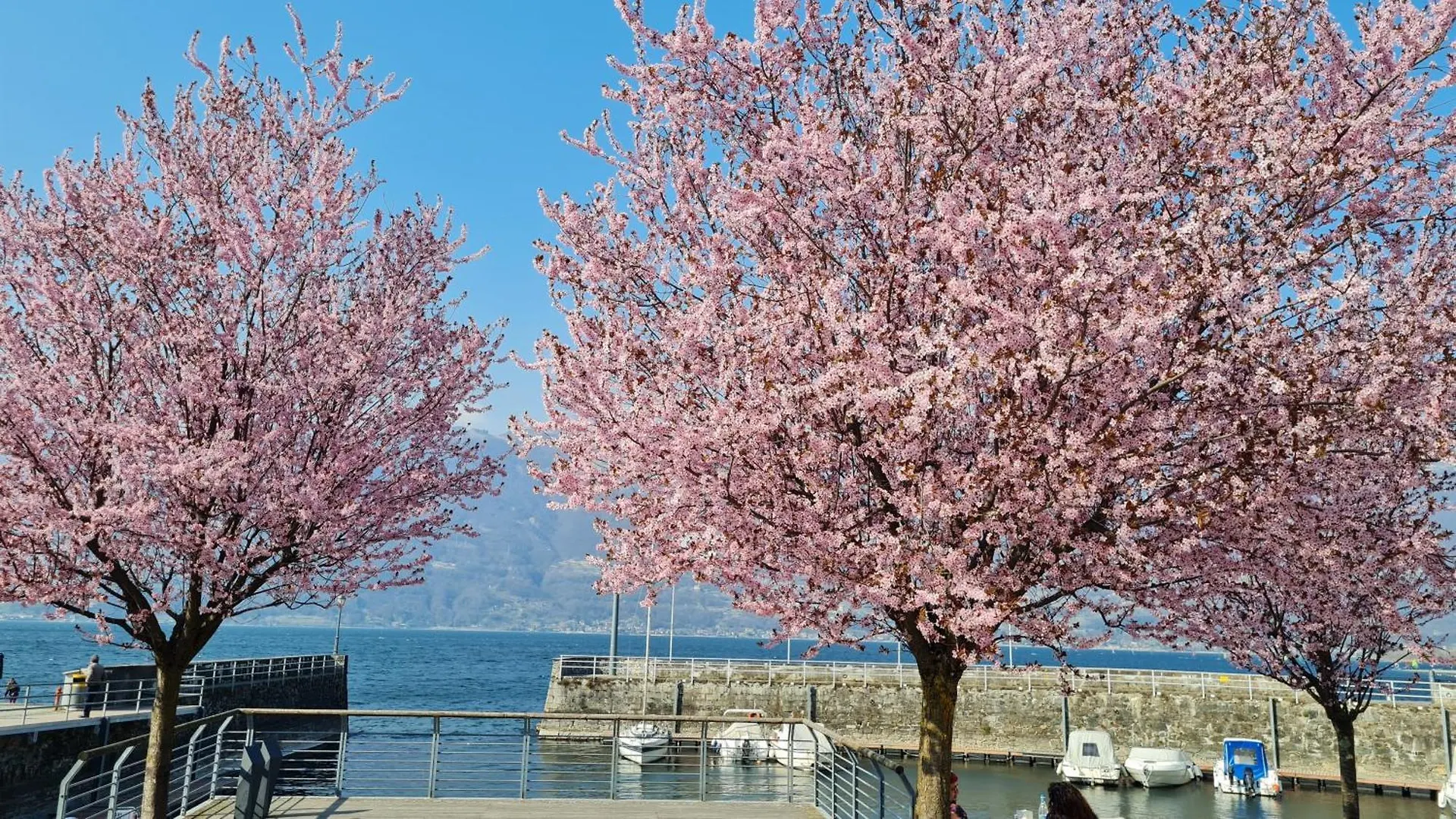 Villa Lago Ground Floor- Pet Friendly Stay-Private Garden-Parking-Lake View - Bike Friendly Holiday House كوليكو