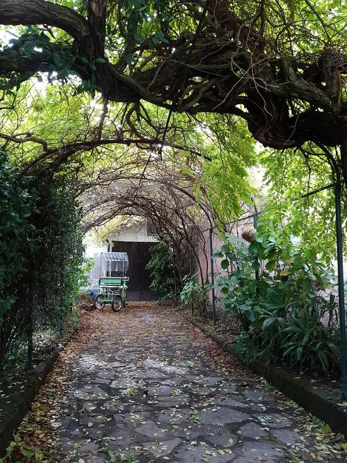 Villa Lago Ground Floor- Pet Friendly Stay-Private Garden-Parking-Lake View - Bike Friendly Holiday House Colico Italy