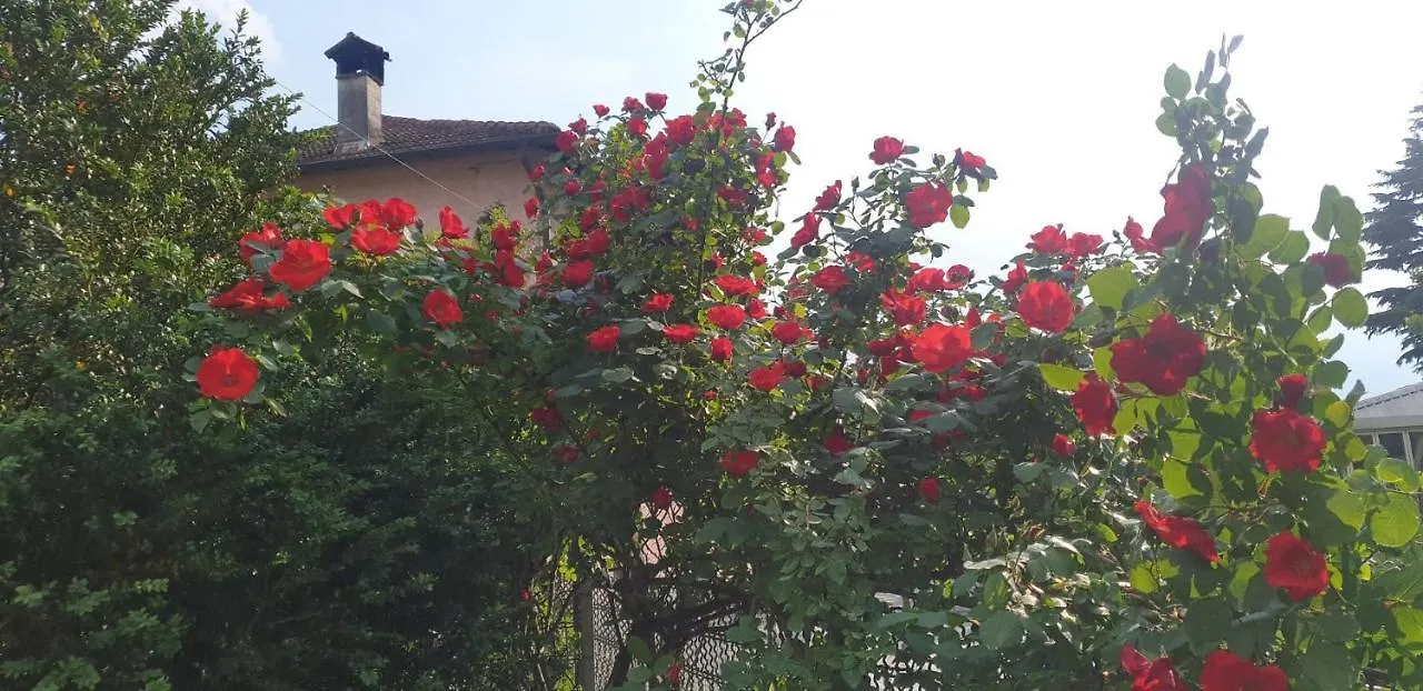 Villa Lago Ground Floor- Pet Friendly Stay-Private Garden-Parking-Lake View - Bike Friendly Holiday House Colico 0*,  Italy
