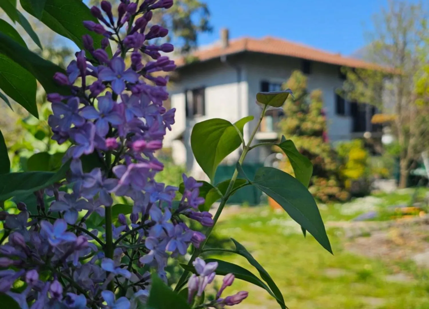 Villa Lago Ground Floor- Pet Friendly Stay-Private Garden-Parking-Lake View - Bike Friendly Holiday House Colico Apartment