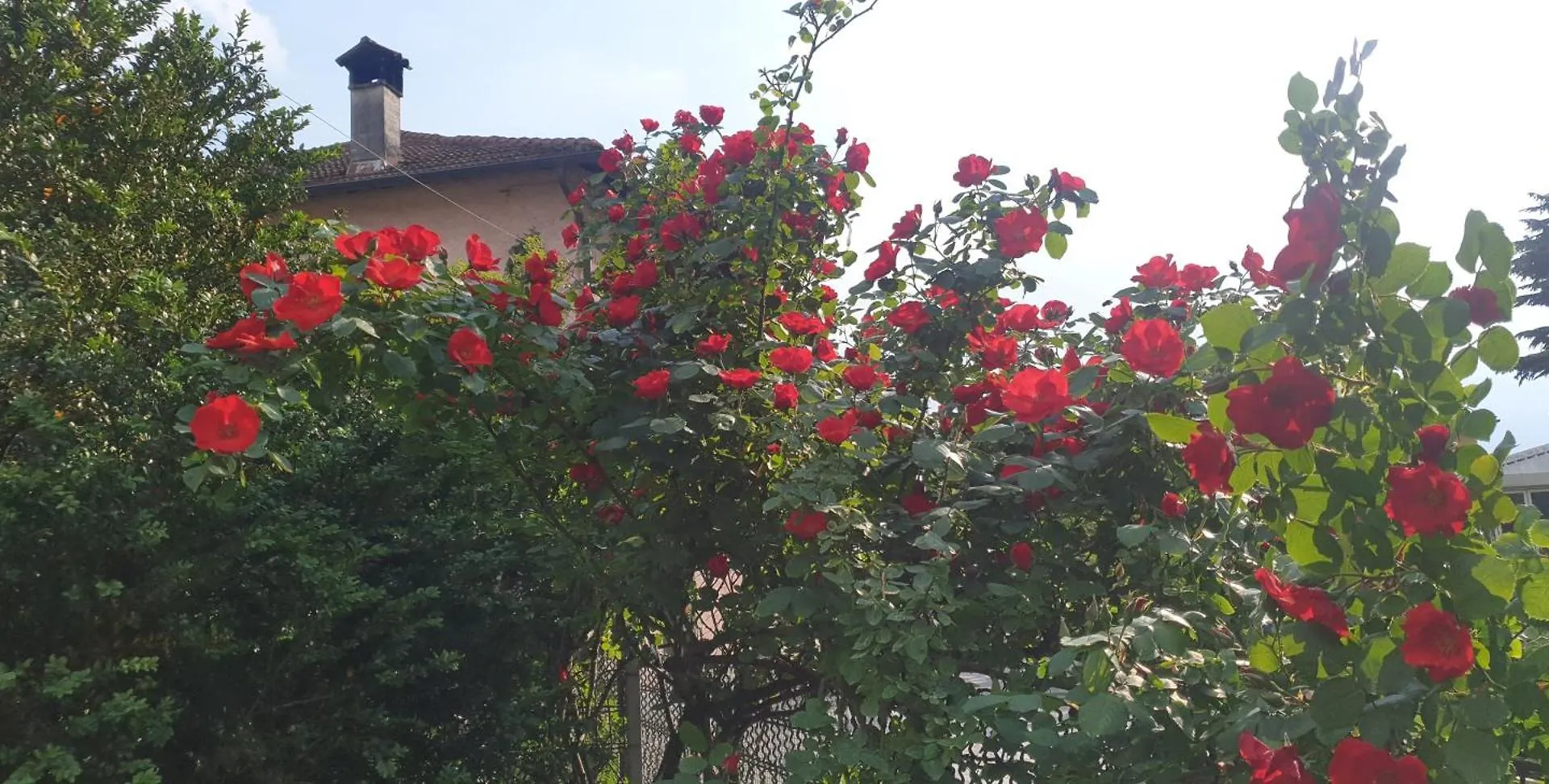 Villa Lago Ground Floor- Pet Friendly Stay-Private Garden-Parking-Lake View - Bike Friendly Holiday House Colico 0*,